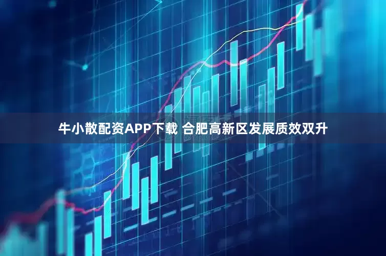 牛小散配资APP下载 合肥高新区发展质效双升